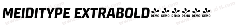 MEIDITYPE EXTRABOLD字体转换